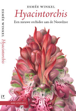 Book - Hyacintorchis